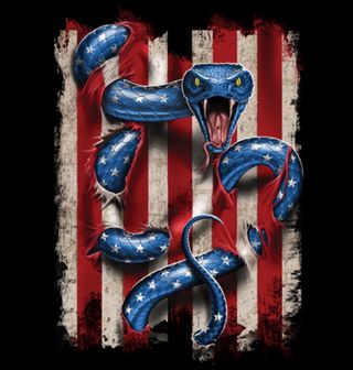 Obrázek 2 produktu Dámské tričko Americký Had