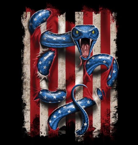 Obrázek produktu Pánské tričko Americký Had