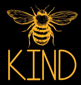 Obrázek 2 produktu Dámské tričko Bee Kind Buď milý Včelička