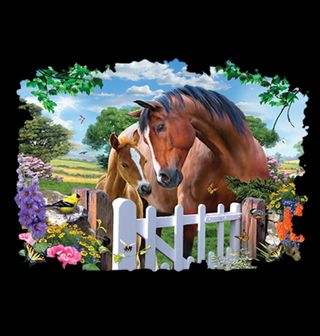 Obrázek 2 produktu Pánské tričko Koně u zahradní brány