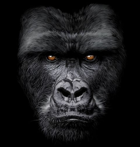 Obrázek produktu Pánská mikina Gorila