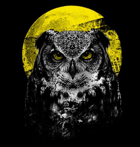 Obrázek produktu Dámské tričko Noční Sova