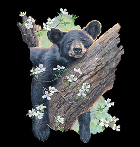 Obrázek produktu Pánské tričko Ospalý Medvěd