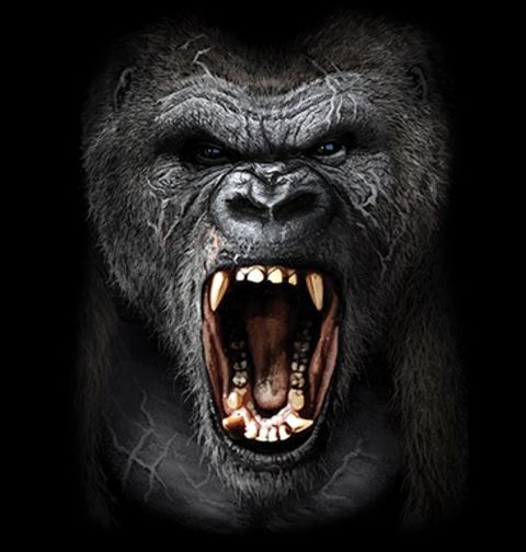 Obrázek produktu Pánská mikina Nespoutaný Řev Gorily