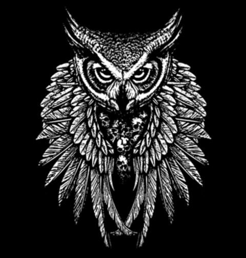 Obrázek produktu Dámské tričko Sova Pták mrtvých