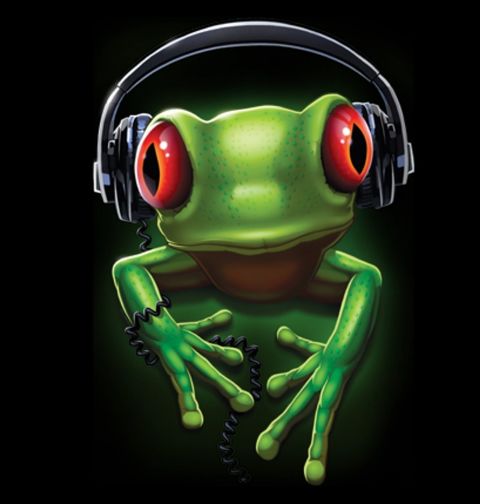 Obrázek produktu Pánské tričko Žába se sluchátky
