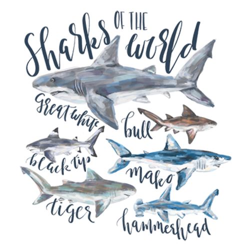 Obrázek produktu Pánské tričko Žraločí seskupení 