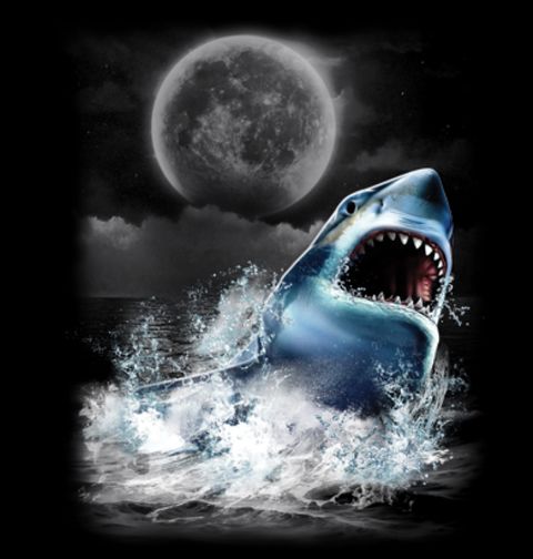 Obrázek produktu Pánské tričko Divoký Žralok Bílý 