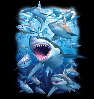Obrázek 2 produktu Dámské tričko Žraločí klub 