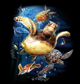 Obrázek 2 produktu Pánské tričko Mořské želvy 