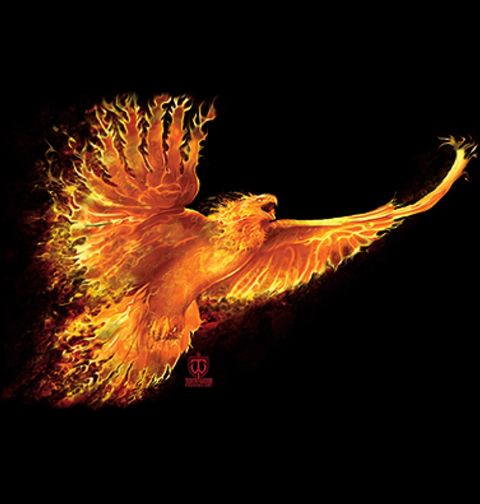 Obrázek produktu Pánské tričko Phoenix povstání 