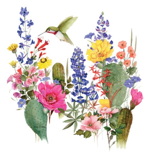 Obrázek produktu Pánské tričko Květinová poušť 