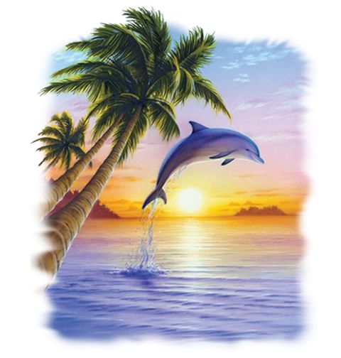 Obrázek produktu Pánské tričko Delfín a východ Slunce 