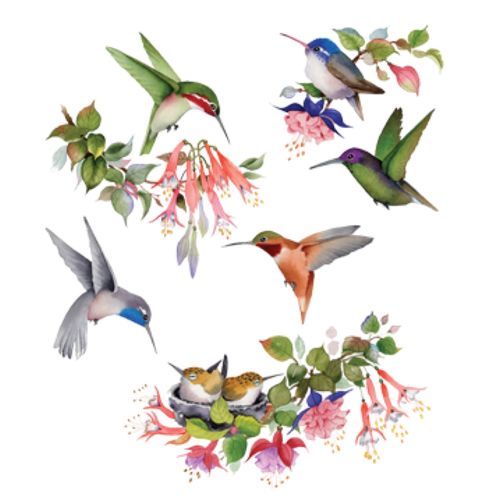 Obrázek produktu Pánské tričko Kolibříci na větvičkách 