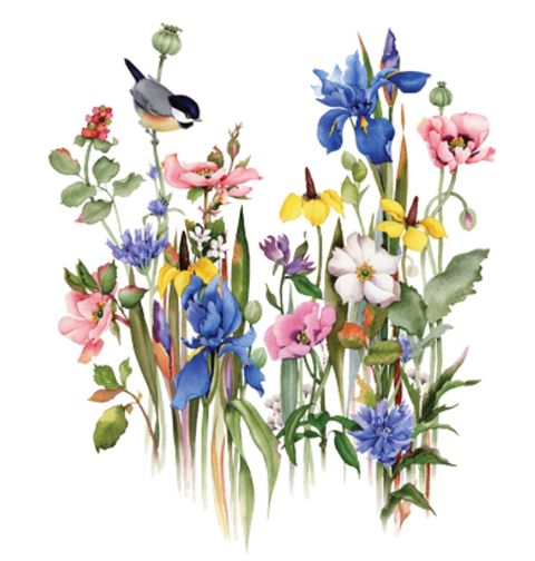 Obrázek produktu Pánské tričko Zahrada květin