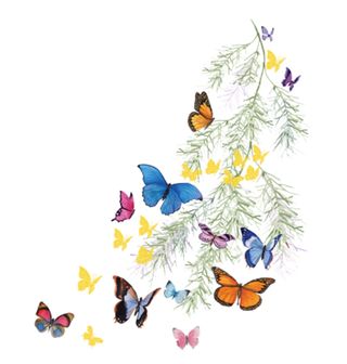 Obrázek 2 produktu Dámské tričko Let Motýlů