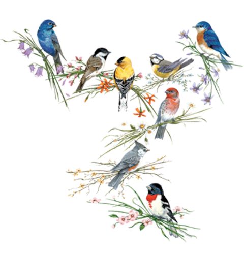 Obrázek produktu Pánské tričko Ptačí spojenectví 