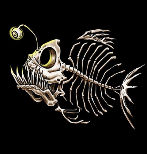 Obrázek produktu Dámské tričko Kostra ryby