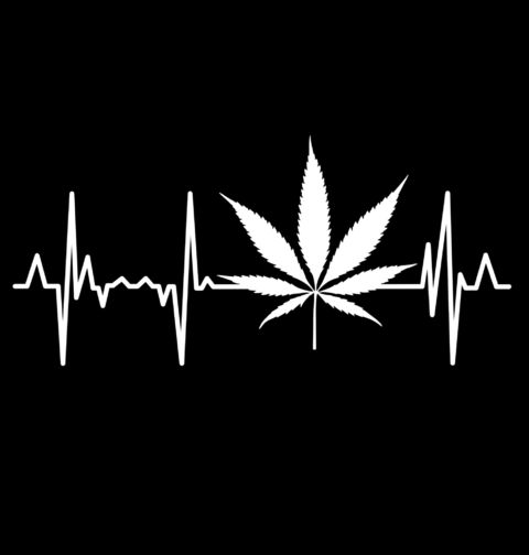 Obrázek produktu Pánské tričko Kardiogram a Marihuana