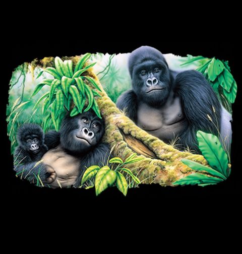 Obrázek produktu Dámské tričko Divočina Goril 