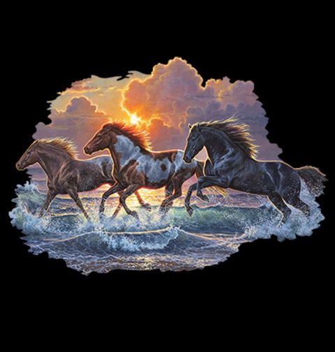 Obrázek produktu Dámské tričko S Koňmi Proti Větru 