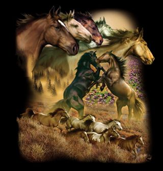 Obrázek 2 produktu Dámské tričko Souboj divokých koňů