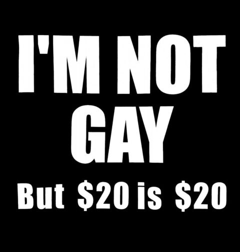 Obrázek produktu Pánské tričko Nejsem Gay, ale $20 je $20