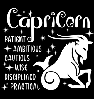 Obrázek 2 produktu Dětské tričko Horoskop Kozoroh Capricorn