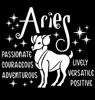 Obrázek 2 produktu Dětské tričko Horoskop Beran Aries