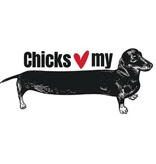 Obrázek 2 produktu Pánské tričko Jezevčík Chicks Dig My Wiener