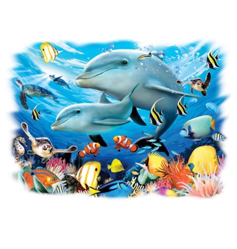 Obrázek produktu Pánské tričko Delfíní hrátky