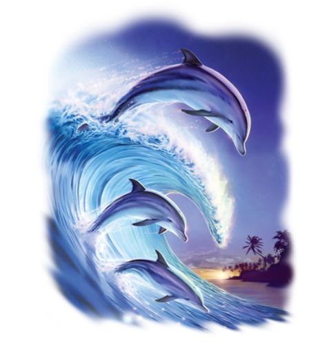 Obrázek produktu Pánské tričko Delfíni na vlnách
