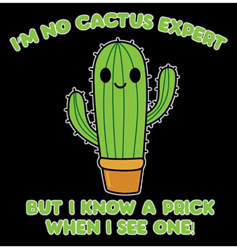Obrázek produktu Pánské tričko Expert na kaktusy
