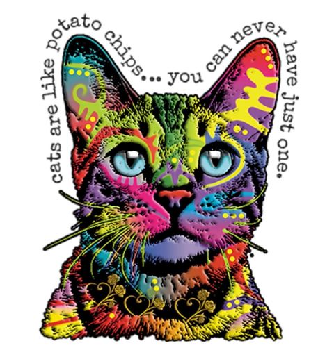 Obrázek produktu Pánské tričko Neonová kočka