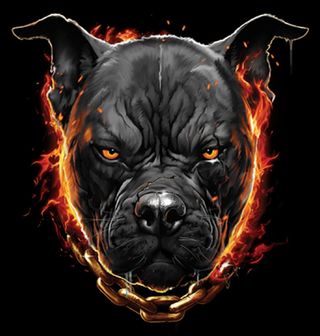 Obrázek 2 produktu Dámské tričko Pitbull v plamenech