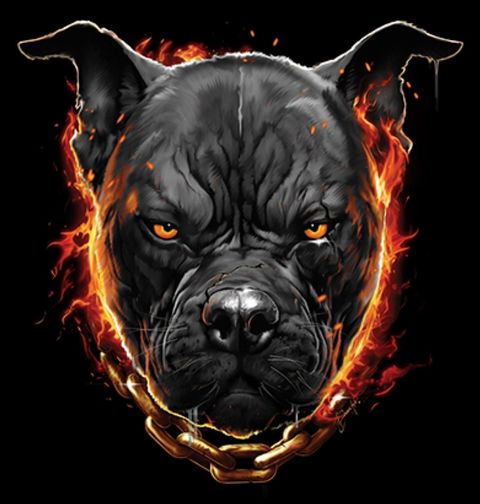 Obrázek produktu Dámské tričko Pitbull v plamenech