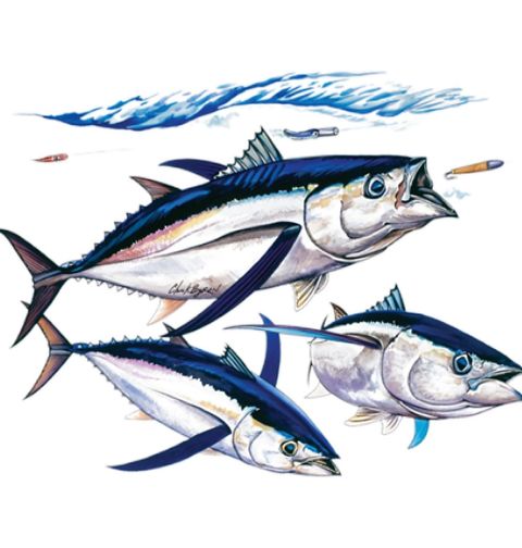Obrázek produktu Pánské tričko Albakorová ryba