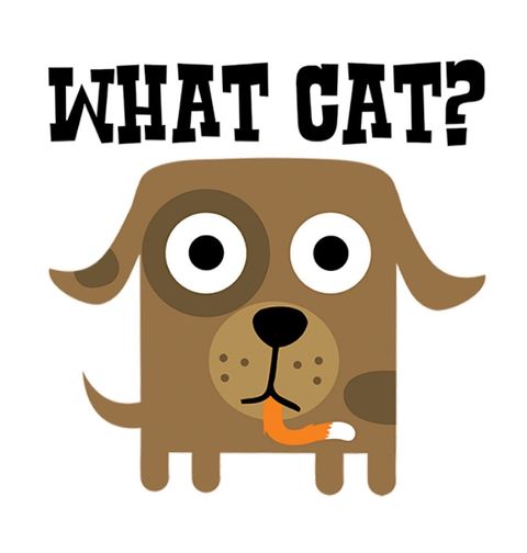 Obrázek produktu Pánské tričko Jaká kočka? Netrpělivý pes