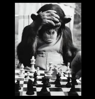 Obrázek 1 produktu Bavlněná taška Šimpanz a šachy