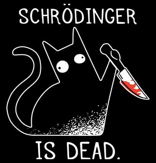 Obrázek 2 produktu Pánské tričko Schrödinger je mrtev Schrödinger Is Dead (Velikost: S)