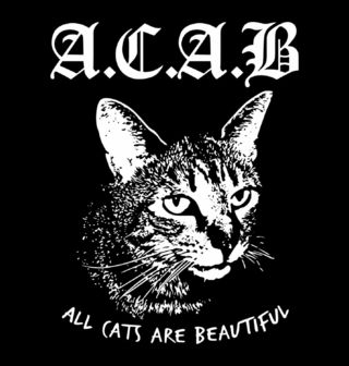 Obrázek 2 produktu Pánské tričko Všechny kočky jsou krásné A.C.A.B