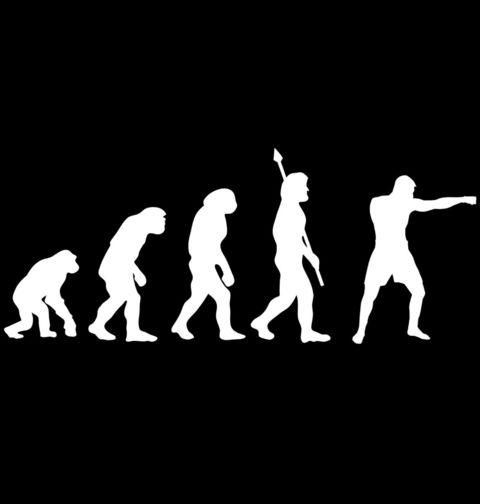 Obrázek produktu Pánské tričko Evoluce boxu