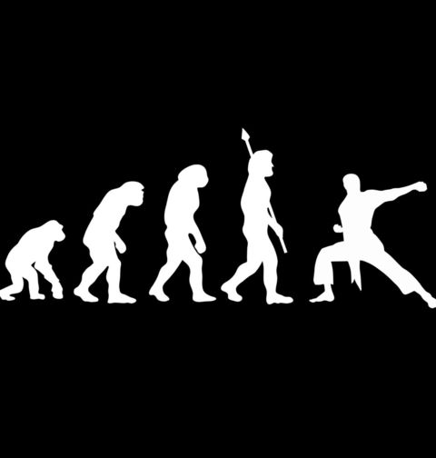 Obrázek produktu Dětské tričko Evoluce Juda