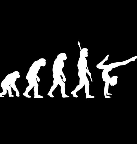 Obrázek produktu Pánské tričko Evoluce gymnastky