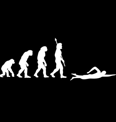 Obrázek produktu Dámské tričko Evoluce plavání