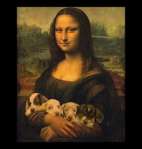 Obrázek produktu Pánské tričko Mona Lisa se štěňátky