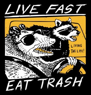 Obrázek 2 produktu Pánská mikina Mýval a Vačice Žij rychle jez odpadky Live Fast Eat Trash