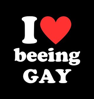 Obrázek 2 produktu Dámské tričko Miluju být gay I Love Beeing Gay