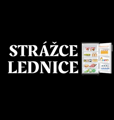 Obrázek produktu Pánská mikina Strážce lednice