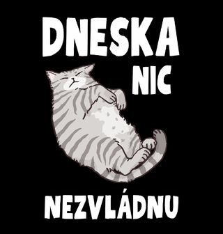 Obrázek 2 produktu Pánská mikina Líná kočka Dneska nic nezvládnu